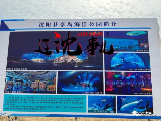 梦想岛c位是谁-梦想岛 C 位争夺战：谁将成为最闪耀的那颗星？