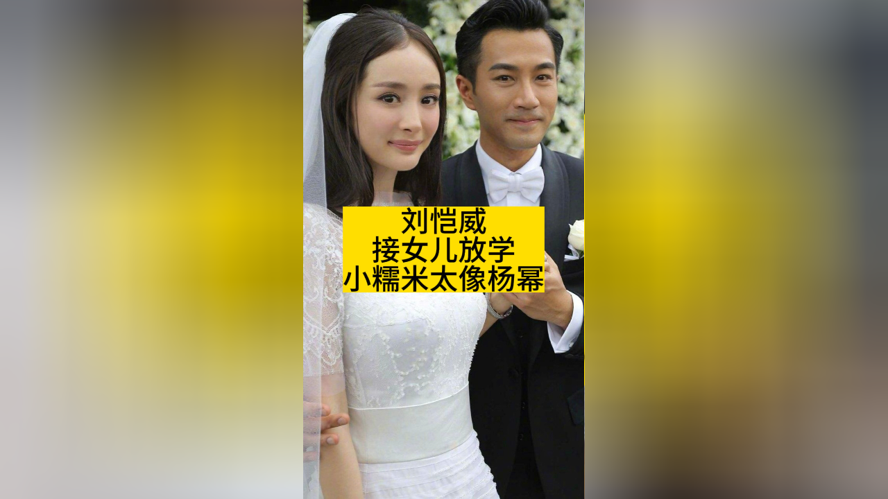 杨幂刘恺威孩子叫什么_刘恺威和杨幂几个孩子_杨幂刘恺威孩子机场