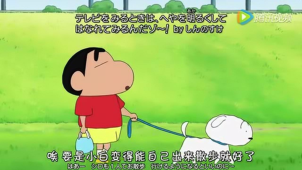 我想看蜡笔小新小白_蜡笔小新小白动画片_蜡笔小新之小白的屁屁