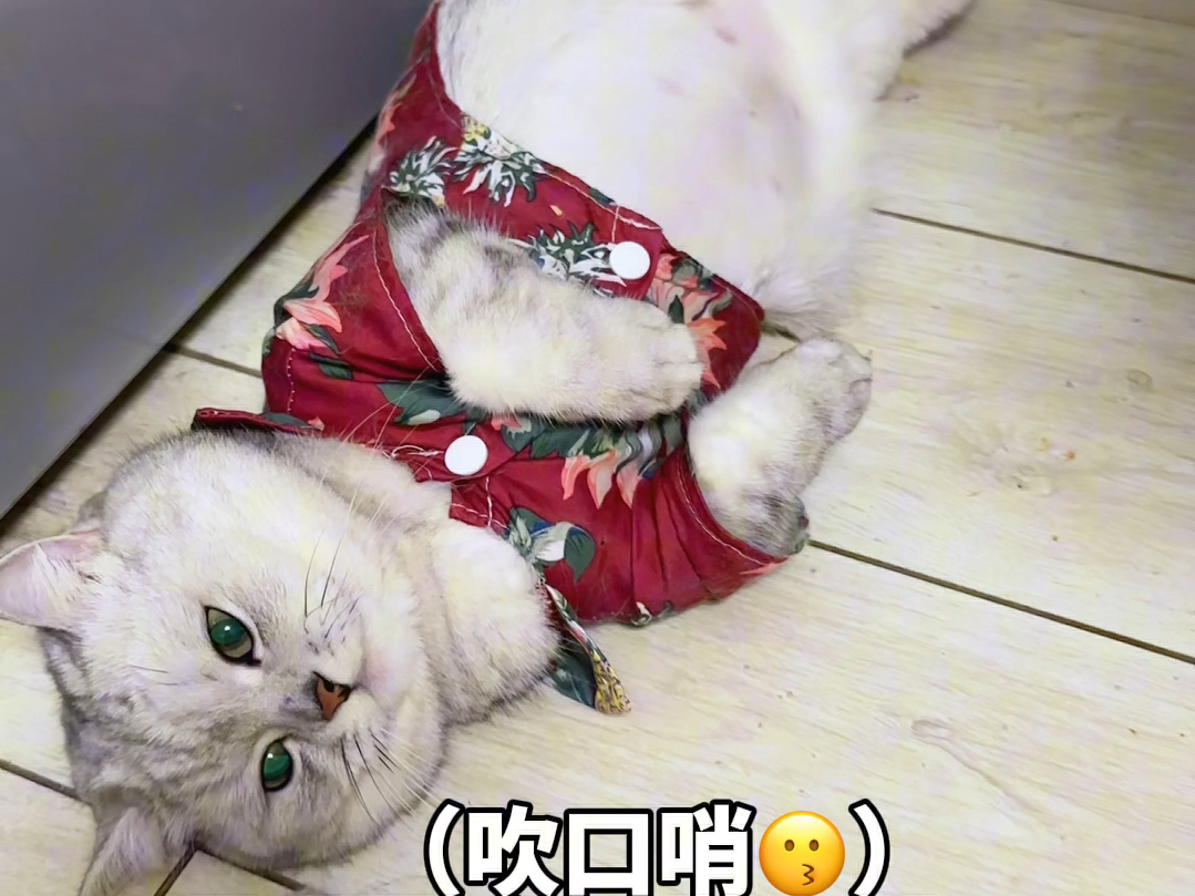 非诚勿扰游戏_非诚勿扰职业游戏玩家_游戏玩家上非诚勿扰