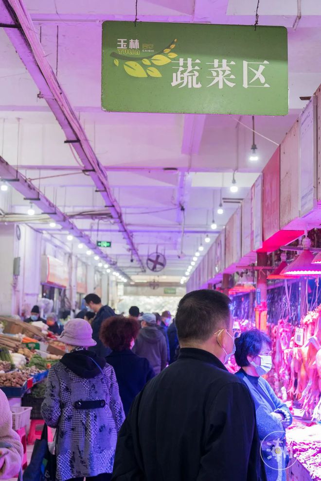 视频对话能录下来吗_视频说话能录音吗_会说话的金杰视频