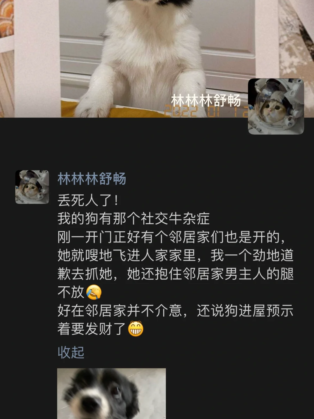 小小精灵飞天螳螂_神奇宝贝飞天螳螂练什么努力值_宠物小精灵飞天螳螂