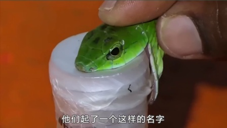 死神动画版什么时候完结的_死神动画第二季什么时候出_死神动画播出时间