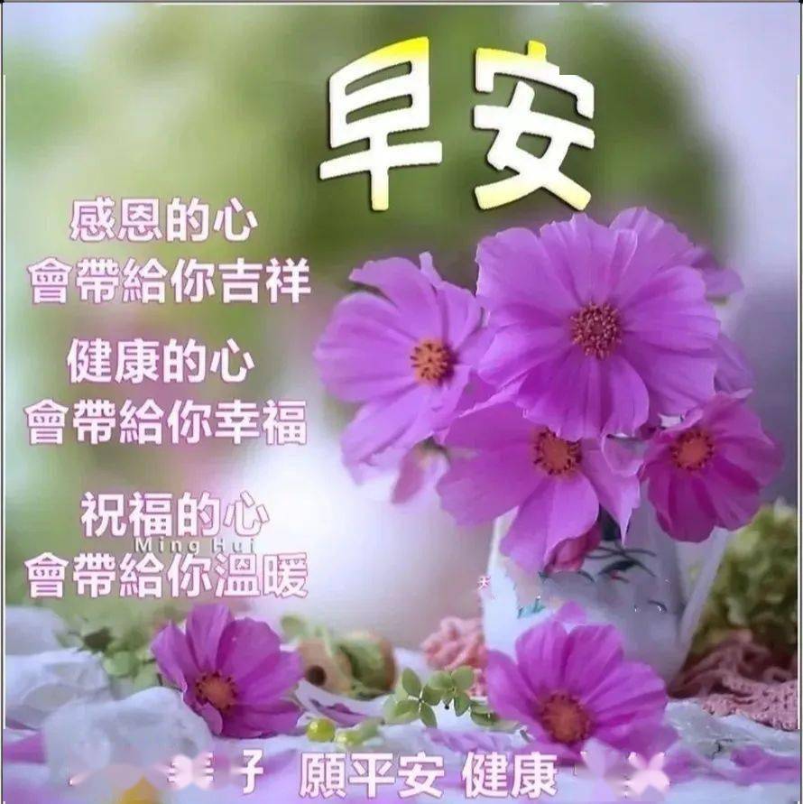 傻瓜小孩的视频_傻瓜小艺_哦。我的小傻瓜