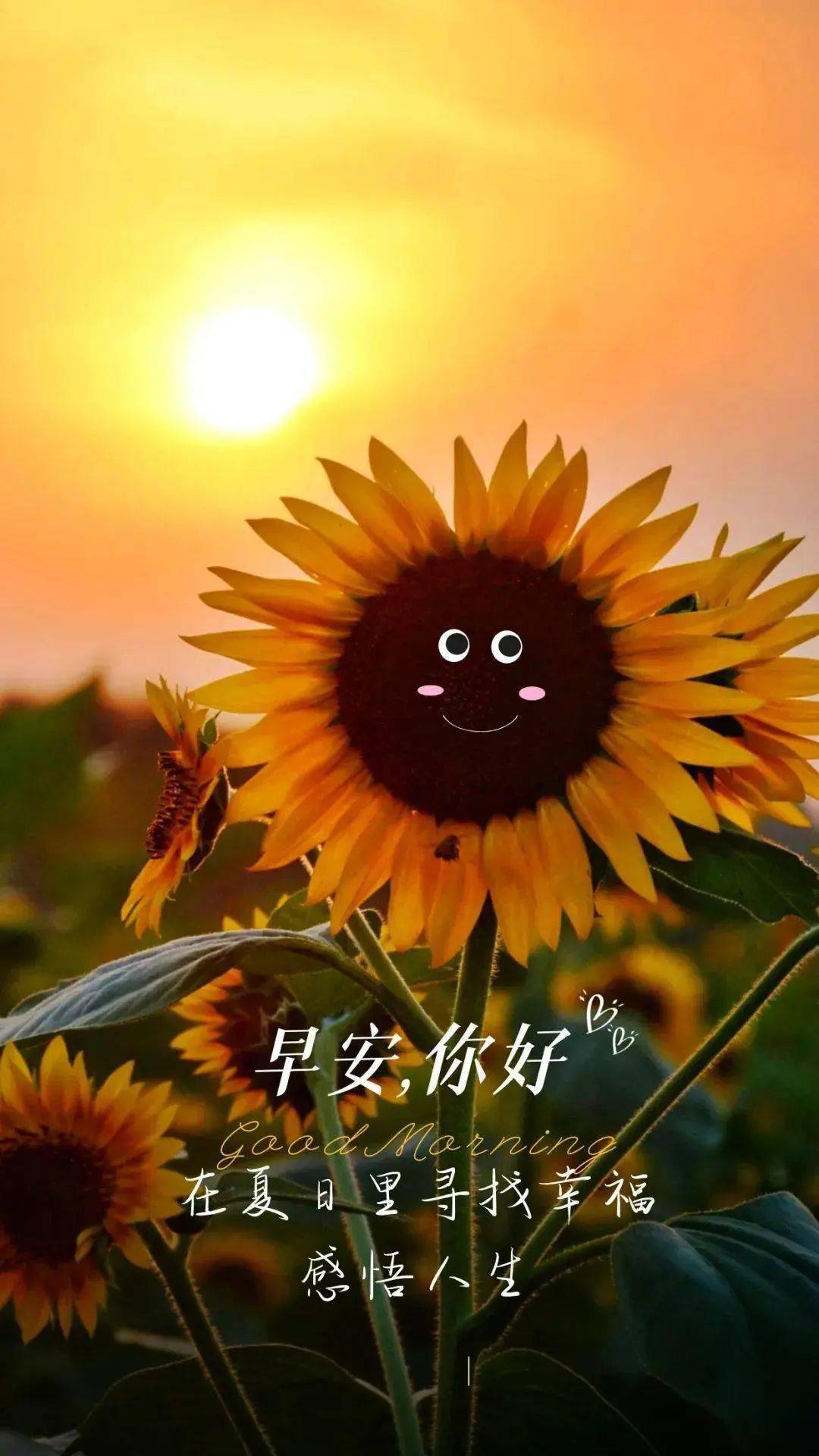 夏虫歌词_夏虫动画_夏虫漫画