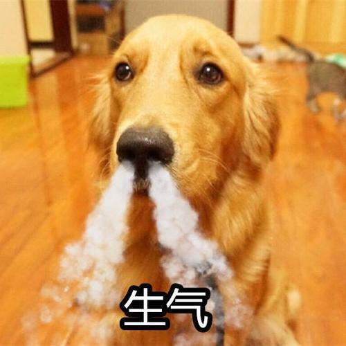美女玉足踩小人的游戏_小人踩美女玉足游戏怎么玩_小人踩美女玉足游戏叫什么