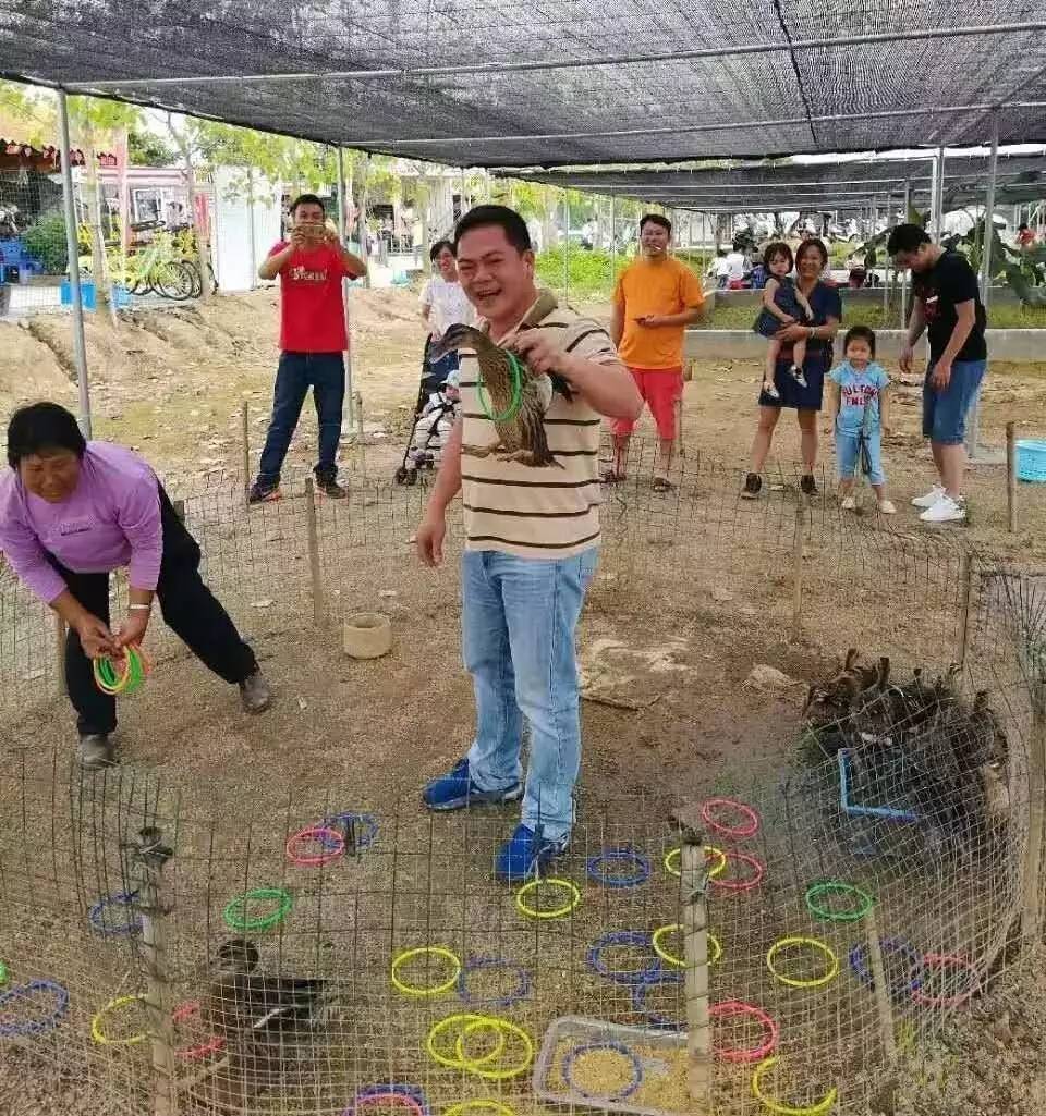 qq炫舞仙灵幻境捞金鱼_庙会上都有哪些游戏可以赚钱_庙会捞金鱼游戏规则