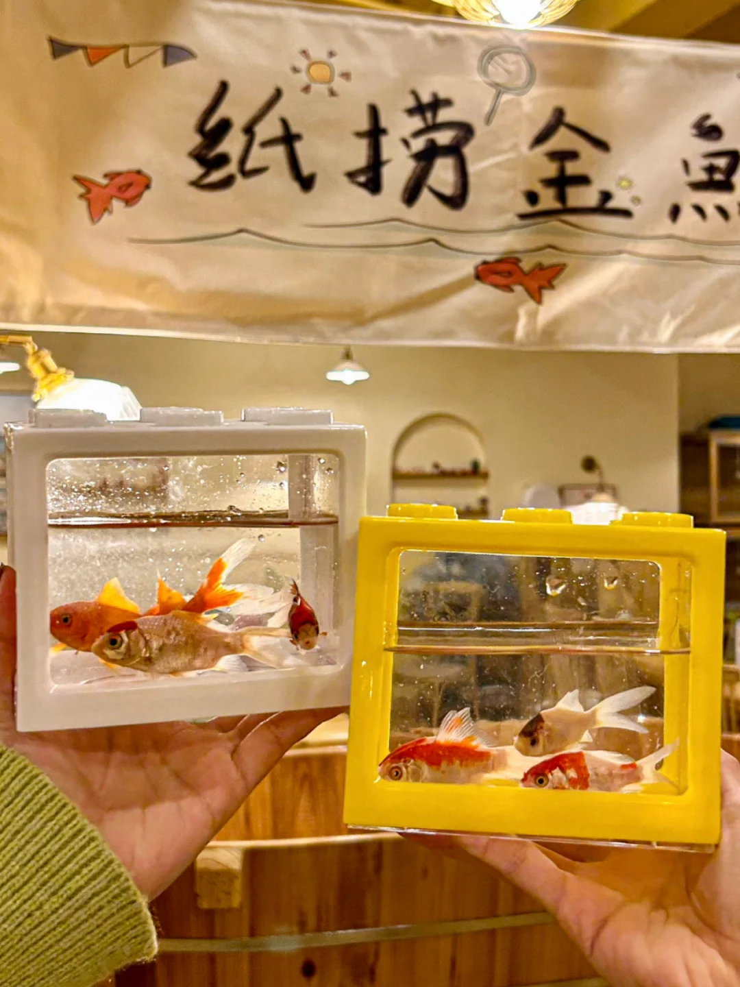 qq炫舞仙灵幻境捞金鱼_庙会上都有哪些游戏可以赚钱_庙会捞金鱼游戏规则