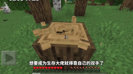 我的世界1.4.2服务器-我的世界1.4.2 服务器：一场穿