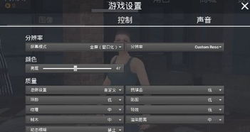 放逐游戏配置要求,探索放逐游戏大逃杀的硬件需求与优化策略